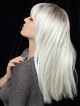 Best Long Grey Wigs for Women