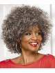 Big Afro Women's Capless Grey Wig 