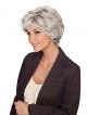 New Grey Wigs with Low Price