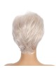 Pixie Cut Platinum Blonde Wigs