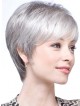 Synthetic Lace Front Straight Grey Wig With Bangs