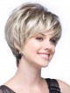 Lace Front Short Wavy Grey Wig With Bangs